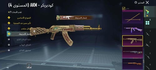 حساب ببجي عالمية كل مسج