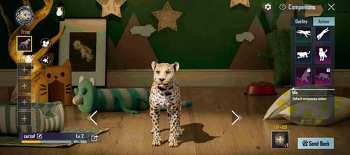 حساب ببجي كورية سكنات مرتبه