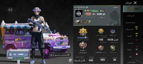 حساب ببجي عالمية تقييم عالي