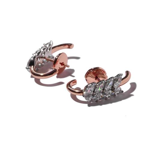 حلق اذن برايت روز قولد