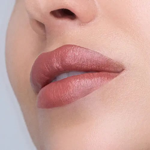 ذا ليب سيلك أحمر الشفاه