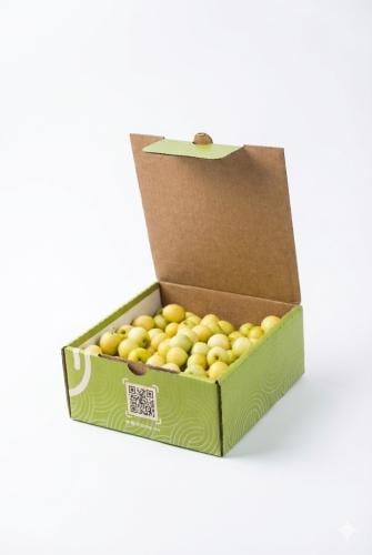 نبق سكري 2 كيلو جرام