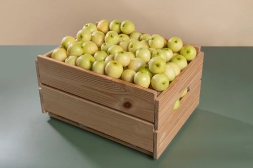 نبق سكري 4 كيلو جرام