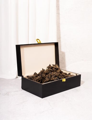 عود تايقر فتنامي