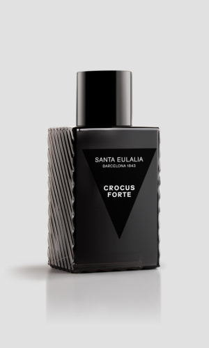 Crocus Forte