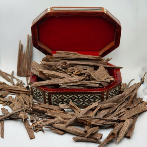 هندي نجلاند زورا سوبر و اعلى