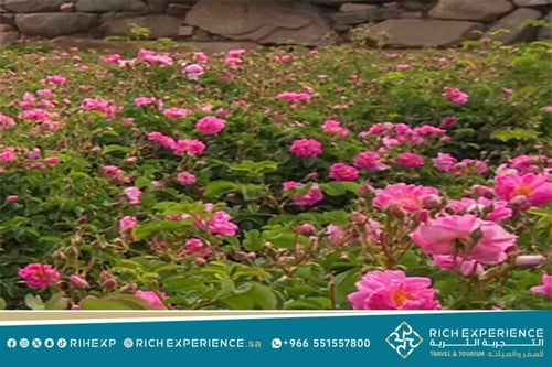 رحلة خاصة في الطائف