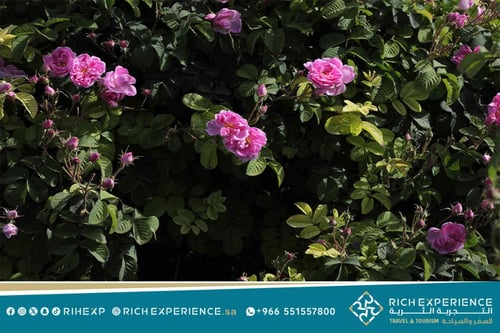 رحلة الورد الطائفي