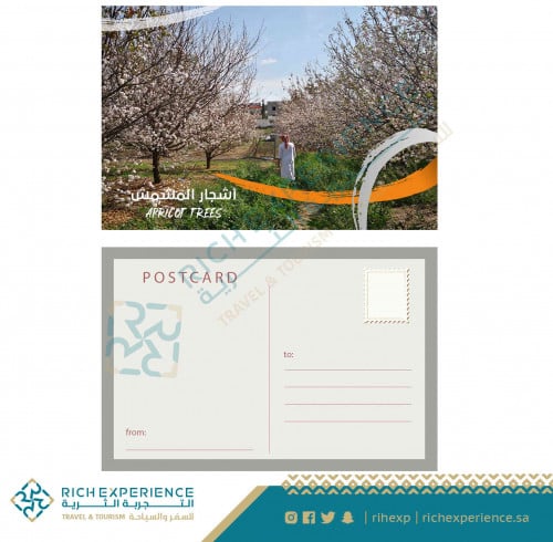 بطاقة تهنئة بصورة أشجار المشمش