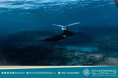 تجربة الغوص الاستكشافي