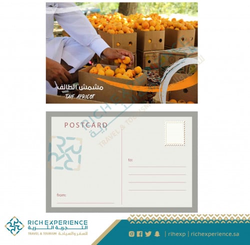 بطاقة مشمش الطائف