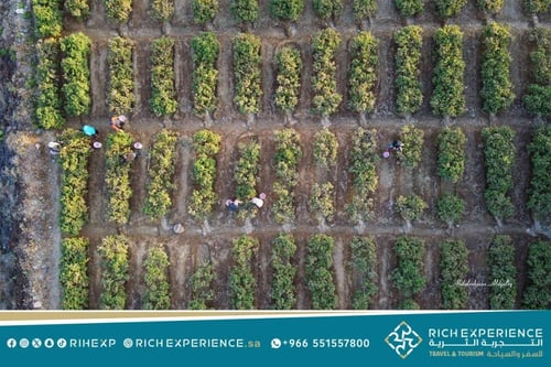 رحلة المزرعة