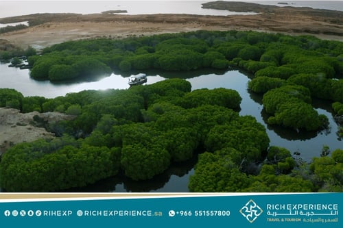 رحلة جزيرة فرسان