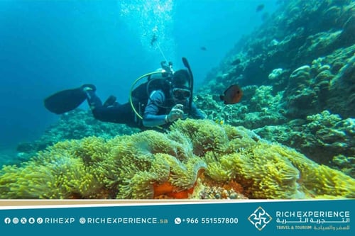 تجربة الغوص الاستكشافي