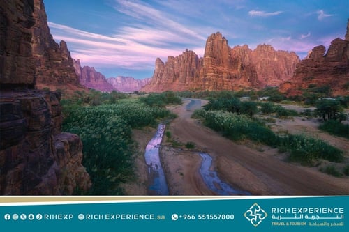 رحلة وادي الديسه - تبوك