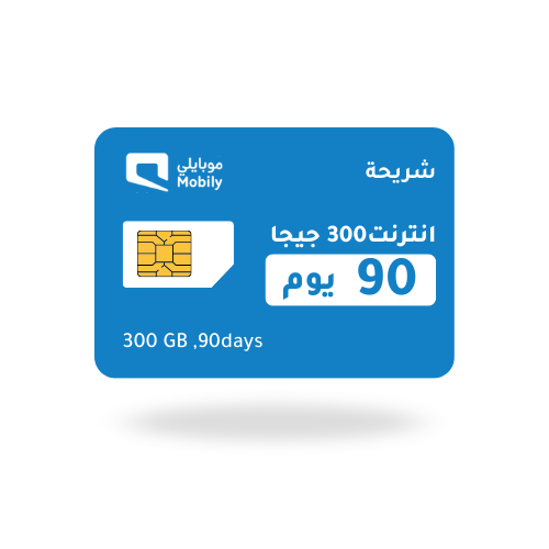نت 300 قيقا لمدة 3 شهور