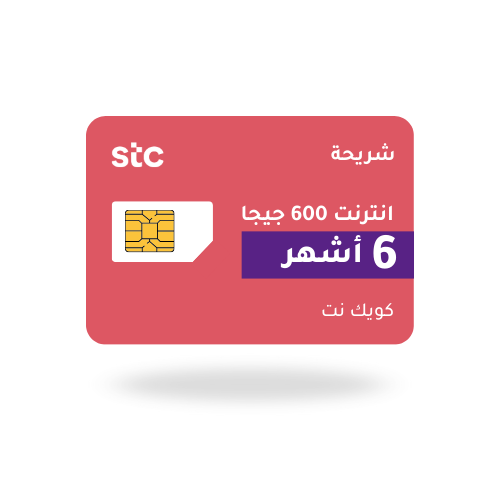 نت 600 قيقا 6 شهور