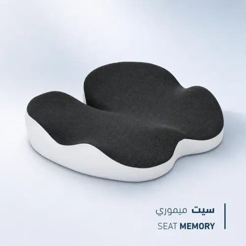 Seat Memory