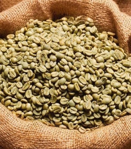 كولومبيا وايلد بيريز بن أخضر 10 كيلو