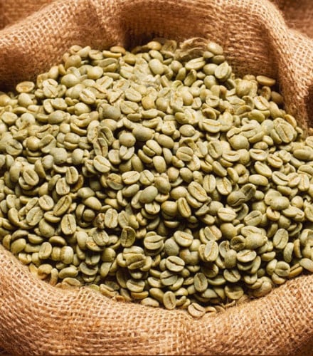 السلفادور كروز قوردا معالجة مجففة خضراء 10 كيلو