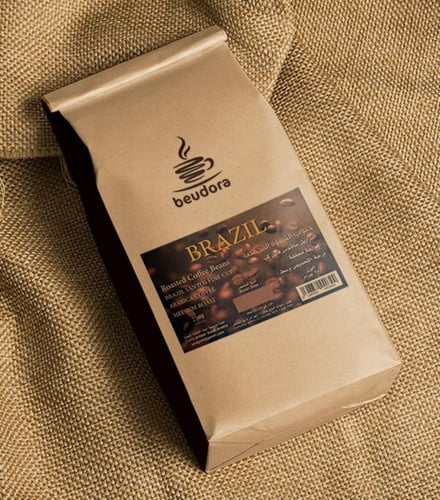 سانتوس فاين كب البرازيل