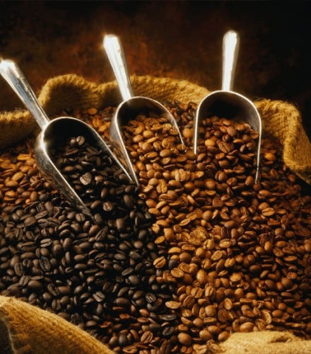 عينات القهوة المختصة المحمصة