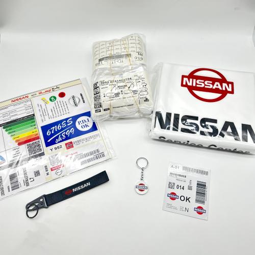 بكج نيسان - عام