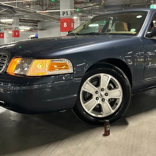 تلميعة محيمد