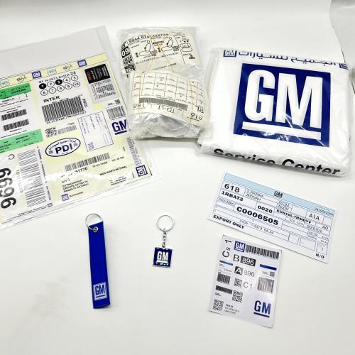 بكج جي ام - عام