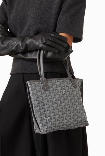 Goyard Mini Anjou Tote Bag