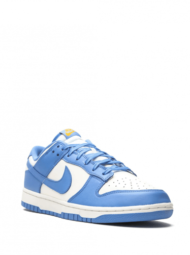 Nike Dunk Low Coast