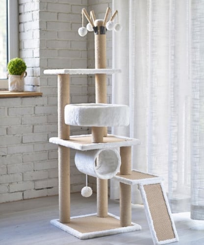 الخداشة الأنيقة العملاقة