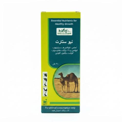 نيو ستارت