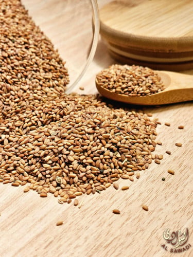 حب رشاد القصيم