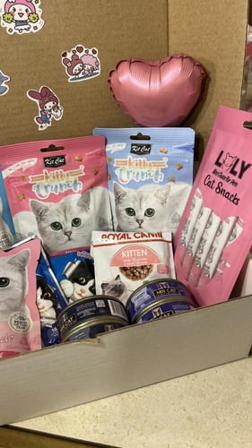 بكج غذاء متنوع للقطط