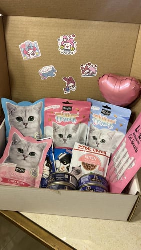 بكج غذاء متنوع للقطط