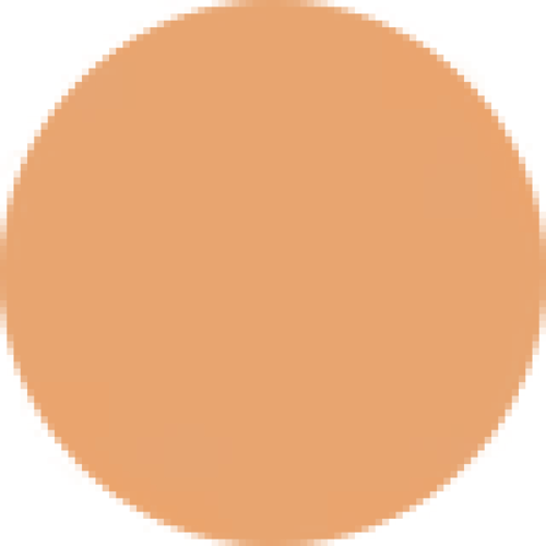 بودرة أساس مطفية ثابتة دبل وير من استي لودر