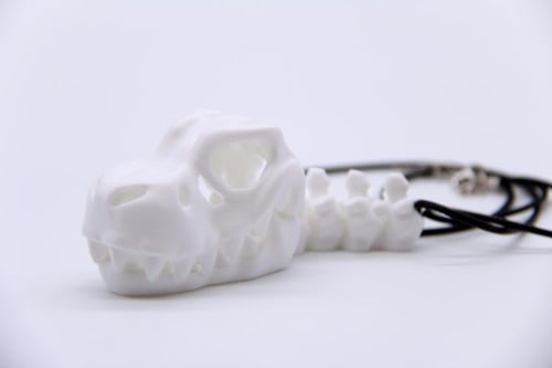 ميدالية T-Rex