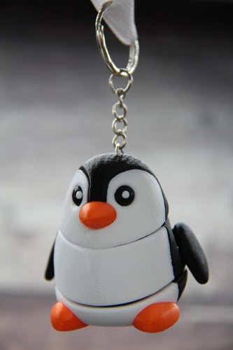 Chubby Penguin