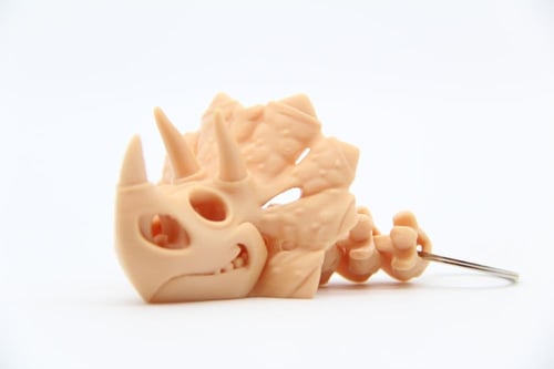 ميدالية Triceratops