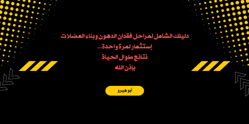مراحل فقدان الدهون وبناء العضلات