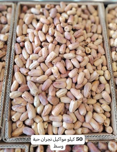 تمر مواكيل نجران حبه وسط