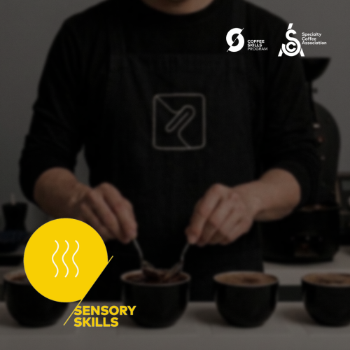 Sensory Skills Course, Basic and Intermediate Leve...