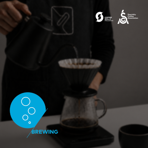 Coffee preparation course, beginner and intermedia...