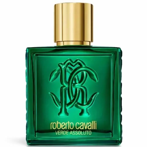 عطر روبرتو كفالي أومو فيردي أسولوتو للرجال أو دو بارفيوم 100 مل