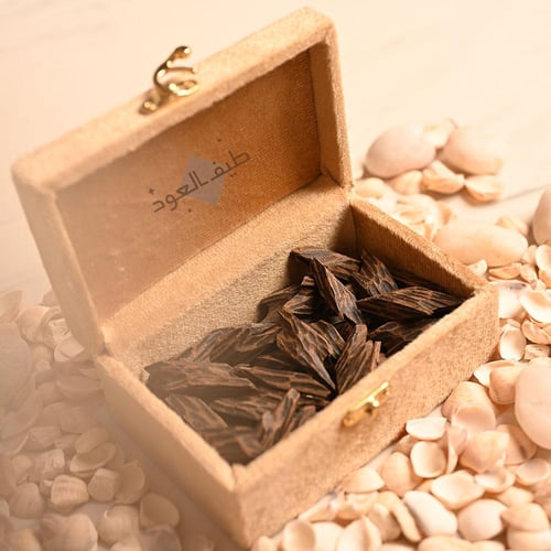 كمبودي تايغر