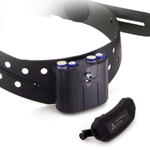 لمبة رأس للفحص Riester ri - focus 6091