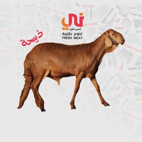 ذبيحة نعيمي جدع جبر بلدي طازجة الوزن التقريبي 30-3...