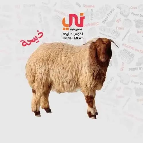 ذبيحة نعيمي جدع جبر بلدي طازجة الوزن التقريبي 30-3...