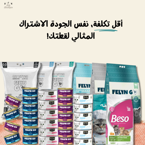 باكج الاشتراك الشهري للقطط الصغيرة (اقتصادي)